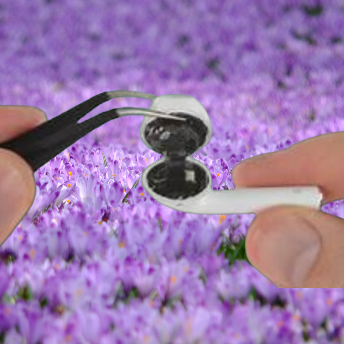 reparación-de-Airpods Reparación-de-Airpods
