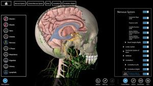 essential anatomy 3 cerebro